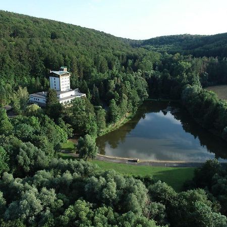 Hotel Reifenstein Kleinbartloff Extérieur photo